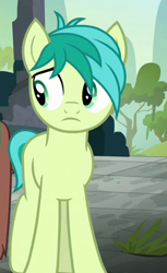 Size: 271x444 | Tagged: safe, derpibooru import, screencap, sandbar, earth pony, pony, school daze, cropped, male, teenager