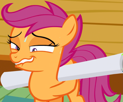 Size: 1191x988 | Tagged: safe, derpibooru import, screencap, scootaloo, pegasus, pony, the washouts (episode), faic, female, filly, lip bite, out of context, poster, solo, sweat, sweatdrop