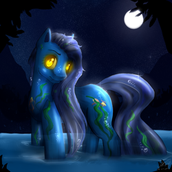 Size: 1500x1500 | Tagged: safe, artist:darkray777, original species, water pony, lake, moon, night, scenery, solo, stars