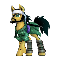 Size: 1500x1500 | Tagged: safe, artist:theomegaridley, oc, oc only, earth pony, pony, clothes, katana, male, pirate, samurai, simple background, stallion, sword, transparent background, weapon