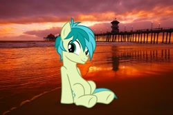 Size: 1024x683 | Tagged: safe, artist:cozmo312bb, derpibooru import, sandbar, earth pony, pony, beach at sunset, cute, irl, male, photo, ponies in real life, sandabetes, smiling, teenager