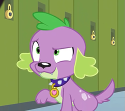 Size: 609x540 | Tagged: safe, derpibooru import, screencap, spike, spike the regular dog, dog, equestria girls, friendship games, cropped, male, paws, smiling