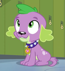 Size: 629x690 | Tagged: safe, derpibooru import, screencap, spike, spike the regular dog, dog, equestria girls, friendship games, cropped, paws, smiling