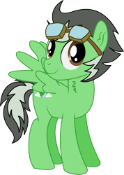 Size: 3531x4970 | Tagged: safe, artist:cyanlightning, derpibooru import, oc, oc only, oc:trip away, pegasus, pony, .svg available, 2019 community collab, absurd resolution, chest fluff, derpibooru community collaboration, ear fluff, goggles, male, simple background, solo, spread wings, stallion, transparent background, vector, wings