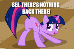 Size: 1258x834 | Tagged: safe, derpibooru import, edit, edited screencap, screencap, twilight sparkle, pony, a canterlot wedding, caption, image macro, plot, presenting, text