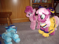 Size: 640x480 | Tagged: safe, artist:sniperteam4, derpibooru import, berry punch, berryshine, cheerilee, minuette, pony, cheerileeder, cheerleader, irl, photo, plushie