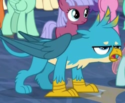 Size: 611x504 | Tagged: safe, derpibooru import, screencap, gallus, ocellus, griffon, school raze, chest fluff, cropped, gallus is not amused, male, paws, tail