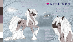 Size: 1600x923 | Tagged: safe, artist:dementra369, derpibooru import, oc, oc only, earth pony, pony, male, reference sheet, solo, stallion, unshorn fetlocks