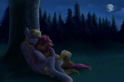 Size: 1024x683 | Tagged: safe, artist:zefirayn, derpibooru import, oc, oc only, oc:wholeheart, earth pony, pegasus, pony, commission, digital art, eyes closed, female, folded wings, forest, love, male, mare, moon, night, oc x oc, shipping, sleeping, stallion, tree, vexel, wings, ych result