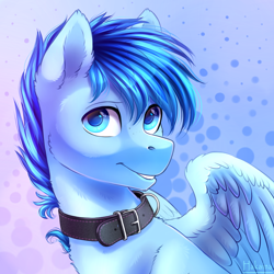 Size: 1300x1300 | Tagged: safe, artist:hakaina, derpibooru import, oc, oc only, oc:happy dream, pegasus, pony, abstract background, bust, collar, ear fluff, looking at you, male, portrait, smiling, solo, spread wings, stallion, wings