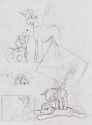 Size: 905x1231 | Tagged: safe, artist:starloo, derpibooru import, oc, oc:ash, alicorn, pegasus, pony, alicorn oc