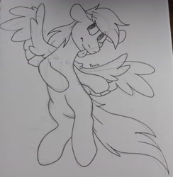 Size: 2710x2777 | Tagged: safe, artist:ponkus, derpibooru import, oc, pegasus, pony, cute, male, on back, sketch, solo, stallion, tongue out, traditional art, wip