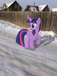 Size: 2448x3264 | Tagged: safe, artist:albertuha, derpibooru import, twilight sparkle, twilight sparkle (alicorn), alicorn, pony, irl, photo, ponies in real life, snow, solo, winter