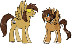 Size: 1363x823 | Tagged: safe, derpibooru import, oc, oc:ash, pegasus, pony, starloo