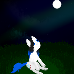 Size: 1024x1024 | Tagged: safe, artist:gexon_pane, derpibooru import, oc, oc only, oc:frozen tears, pegasus, pony, cloud, cloudy, female, field, grass, looking up, mare, moon, night, sitting, solo, stars