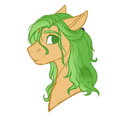 Size: 594x603 | Tagged: safe, artist:kimyowolf, derpibooru import, oc, oc:curiosa dream, pony, bust, male, portrait, rule 63, simple background, solo, stallion, transparent background