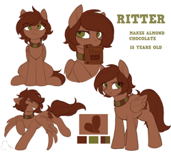 Size: 2114x1891 | Tagged: safe, artist:ritter, derpibooru import, oc, oc only, oc:ritter, pegasus, pony, collar, cute, cutie mark, female, ocbetes, reference sheet, simple background, teeth, wings