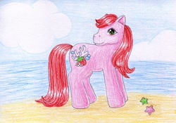 Size: 1024x715 | Tagged: safe, artist:normaleeinsane, derpibooru import, g3, beach, solo, strawberry reef, traditional art