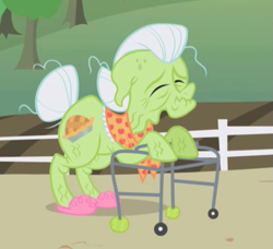 Size: 569x520 | Tagged: safe, derpibooru import, screencap, granny smith, earth pony, pony, the ticket master, arthritic, clothes, cropped, droopy ears, elderly, eyes closed, female, mare, shawl, slippers, solo, tennis ball, walker, wrinkles