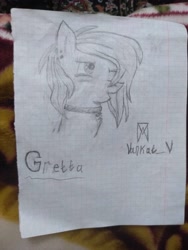 Size: 3000x4000 | Tagged: safe, artist:vankat, derpibooru import, oc, oc only, oc:gretta braun, pony, cute, graph paper, solo, traditional art