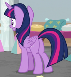 Size: 460x501 | Tagged: safe, derpibooru import, screencap, twilight sparkle, twilight sparkle (alicorn), alicorn, pony, the end in friend, cropped, female, mare, plot, solo