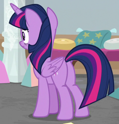 Size: 471x491 | Tagged: safe, derpibooru import, screencap, twilight sparkle, twilight sparkle (alicorn), alicorn, pony, the end in friend, cropped, female, mare, plot, solo