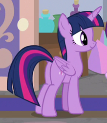 Size: 283x323 | Tagged: safe, derpibooru import, screencap, twilight sparkle, twilight sparkle (alicorn), alicorn, pony, the end in friend, cropped, female, mare, plot, smiling