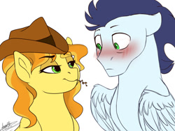 Size: 1024x768 | Tagged: dead source, safe, artist:scorpion-89, derpibooru import, bailey sweet, braeburn, soarin', pegasus, pony, bedroom eyes, blushing, cowboy hat, female, half r63 shipping, hat, looking at each other, male, mare, rule 63, shipping, simple background, smiling, soarburn, soariley, stallion, straight, straw in mouth, white background