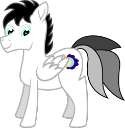 Size: 3000x3066 | Tagged: safe, artist:equinox3141, derpibooru import, oc, oc only, oc:equinox, pegasus, pony, high res, male, simple background, solo, stallion, transparent background, vector