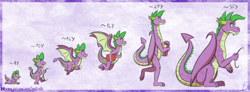 Size: 1024x377 | Tagged: safe, artist:inuhoshi-to-darkpen, derpibooru import, spike, dragon, adult, adult spike, age progression, baby, baby dragon, book, crawling, evolution, fangs, flying, growth chart, older, older spike, paper, profile, quill, simple background, sitting up, smiling, teenage spike, teenager, walking, winged spike, wings, younger