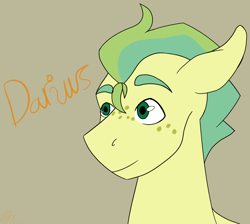 Size: 944x844 | Tagged: safe, artist:moonaknight13, derpibooru import, oc, oc:darius dawind, pegasus, pony, freckles, guard, royal guard, smiling