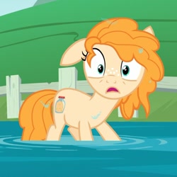 Size: 717x717 | Tagged: safe, derpibooru import, screencap, pear butter, the perfect pear, cropped, shocked, solo, water, wet, wet mane, younger