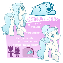 Size: 1024x1024 | Tagged: safe, artist:midnightpremiere, derpibooru import, oc, oc only, oc:whistle wind, pegasus, pony, female, mare, raised hoof, reference sheet, solo