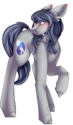 Size: 1944x3318 | Tagged: safe, artist:mauuwde, derpibooru import, oc, oc:moonstone, earth pony, pony, female, mare, simple background, solo, transparent background