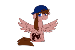 Size: 1080x720 | Tagged: safe, artist:shgurr, derpibooru import, oc, oc:shgurr, pony, solo