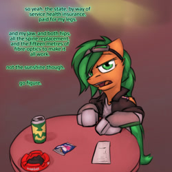 Size: 800x800 | Tagged: safe, artist:captainhoers, derpibooru import, oc, oc only, oc:atom smasher, cyborg, pegasus, pony, the sunjackers, canterlot, cyberpunk, female, mare, new canterlot