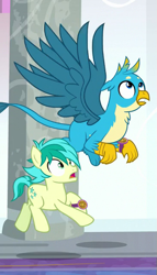 Size: 365x637 | Tagged: safe, derpibooru import, screencap, gallus, sandbar, earth pony, griffon, pony, a matter of principals, chest fluff, cropped, cutie mark, duo, male, spread wings, tail, wings