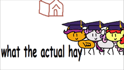 Size: 2560x1440 | Tagged: safe, artist:round trip, derpibooru import, apple bloom, scootaloo, sweetie belle, earth pony, pegasus, pony, unicorn, marks for effort, caption, comic sans, cutie mark crusaders, female, filly, graduation cap, hat, reaction image, round trip's mlp season 8 in a nutshell, school, simple background, trio, what the actual hay?, what the hay?, white background