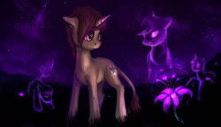 Size: 1024x589 | Tagged: safe, artist:elkaart, derpibooru import, oc, oc only, oc:wishful dreamer, pony, unicorn, female, floppy ears, flower, leonine tail, mare, night, night sky, sky, spirit, stars