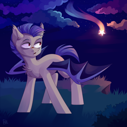 Size: 3000x3000 | Tagged: safe, artist:kreecker, derpibooru import, oc, oc only, bat pony, pony, cloud, grass, male, night, night sky, shooting star, sky, solo, ych result