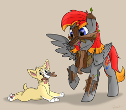 Size: 1024x890 | Tagged: safe, artist:rutkotka, derpibooru import, oc, oc only, oc:arian blaze, pegasus, pony, timber wolf, clothes, corgi, costume, nightmare night, puppy, smiling, stick, tongue out