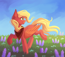 Size: 4000x3500 | Tagged: safe, artist:kreecker, derpibooru import, oc, oc only, pegasus, pony, female, field, grass, sky, smiling, solo