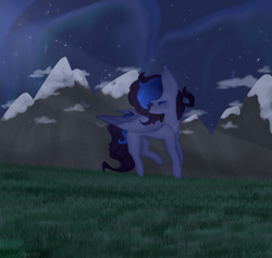 Size: 1200x1136 | Tagged: safe, artist:itsderix, derpibooru import, oc, pegasus, pony, female, mare, night, solo