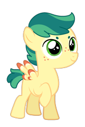 Size: 1000x1500 | Tagged: safe, artist:charlie03bigote, derpibooru import, oc, pegasus, pony, adoptable, colt, male, simple background, solo, transparent background, unnamed oc