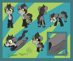 Size: 1200x1000 | Tagged: safe, artist:lilsunshinesam, derpibooru import, oc, oc only, oc:sweet thrills, pony, gliderpon, reference sheet