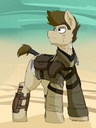 Size: 2500x3300 | Tagged: safe, artist:coatieyay, derpibooru import, oc, oc:paladin, pony, ear piercing, earring, jewelry, knife, leather armor, mad max, male, max rockatansky, piercing, tail wrap