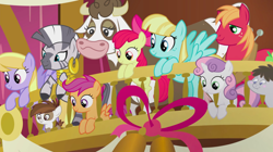 Size: 1440x809 | Tagged: safe, derpibooru import, screencap, apple bloom, big macintosh, cloud kicker, daisy jo, helia, pipsqueak, scootaloo, sweetie belle, truffle shuffle, zecora, cow, earth pony, pegasus, pony, unicorn, zebra, slice of life (episode), background pony, balcony, colt, cutie mark crusaders, ear piercing, earring, female, filly, foal, jewelry, male, mare, neck rings, piercing, stallion