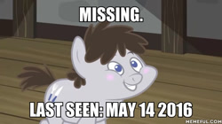 Size: 600x337 | Tagged: safe, derpibooru import, edit, edited screencap, screencap, truffle shuffle, earth pony, pony, ponyville confidential, colt, image macro, male, meme, missing, text