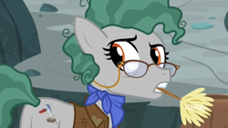 Size: 1920x1080 | Tagged: safe, derpibooru import, screencap, earth pony, pony, a rockhoof and a hard place, brush, clothes, discovery family logo, female, glasses, jacket, looking back, mare, mouth hold, neckerchief, professor fossil, solo