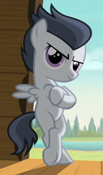 Size: 336x573 | Tagged: safe, derpibooru import, screencap, rumble, pegasus, pony, marks and recreation, badass, bipedal, colt, cropped, crossed arms, crossed hooves, gangsta, hooves, male, smiling, solo, standing, stupid sexy rumble, wings